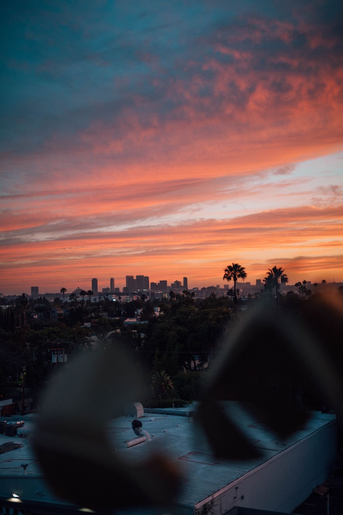Los Angeles skyline silhouetted by palm trees at sunset