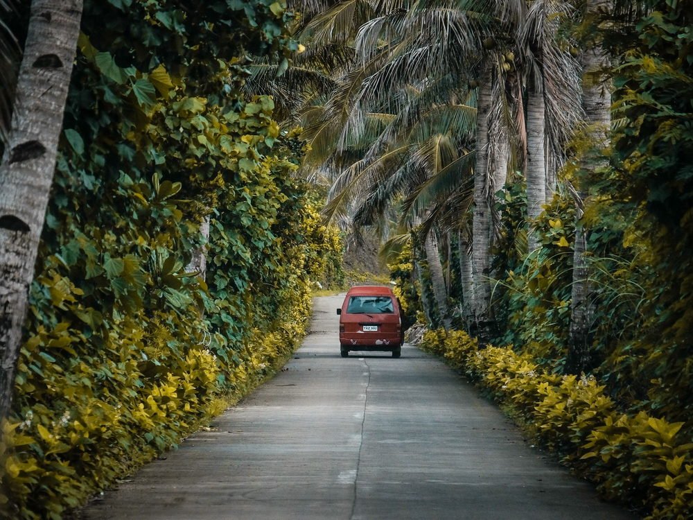 A camper van parked on a quiet tropical road lined with palms