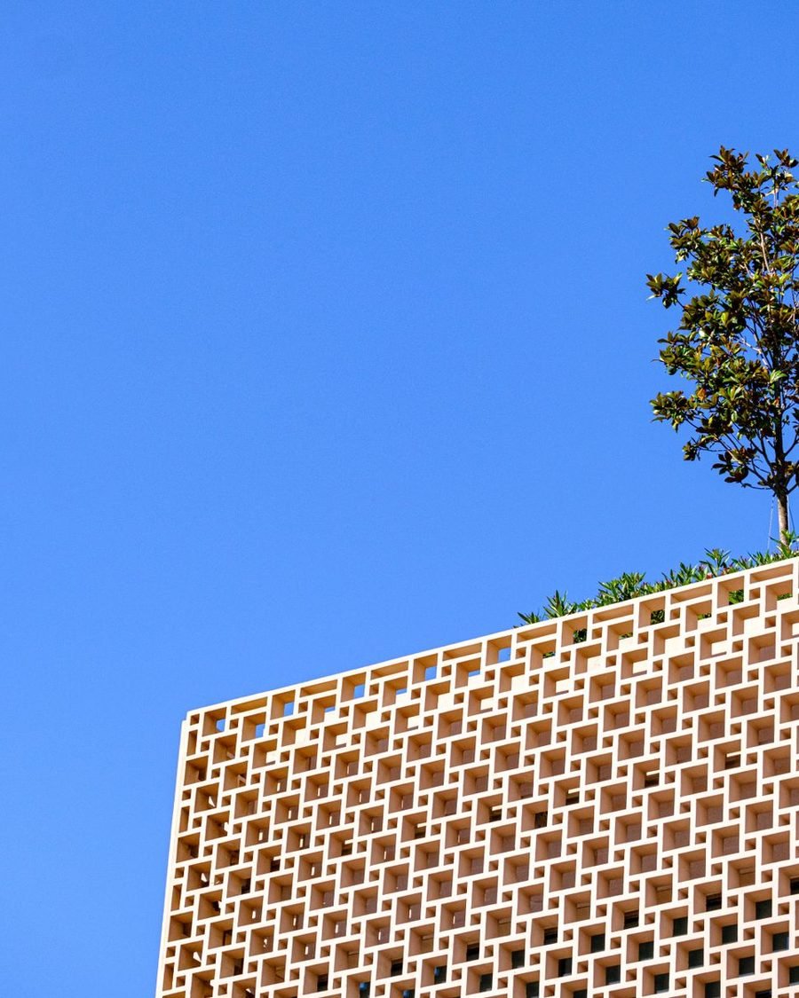 Perforated brick jaali screen wall meeting an open sky, with a single tree above the parapet